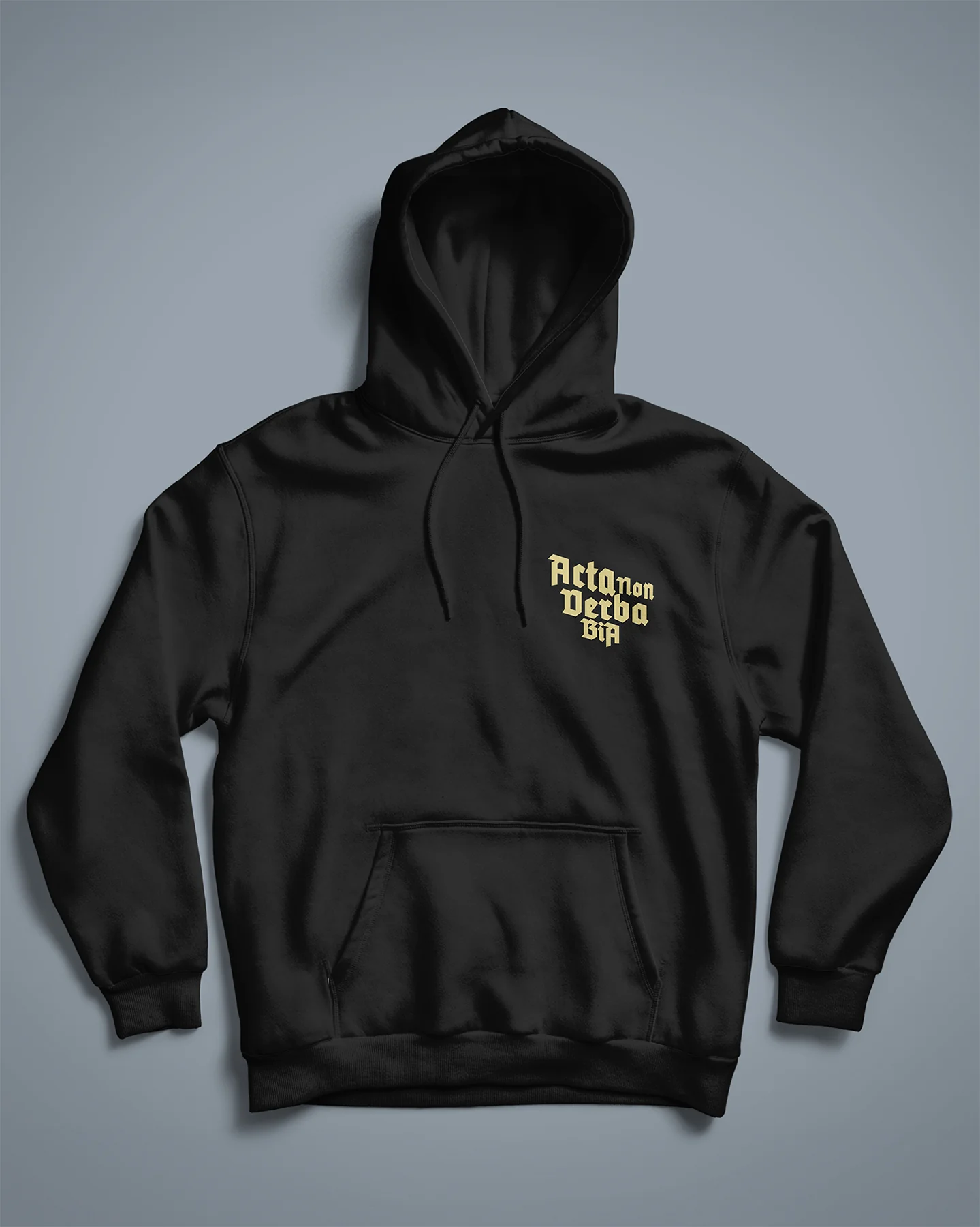 Acta Non Verba Hoodie - Image 8
